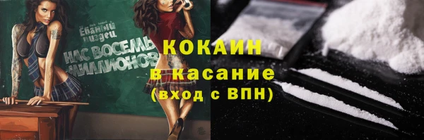 2c-b Бородино