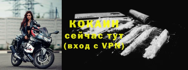 2c-b Бородино