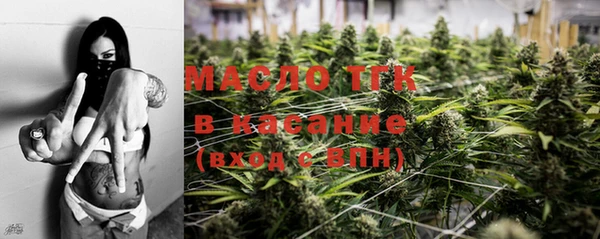МДПВ Богородск