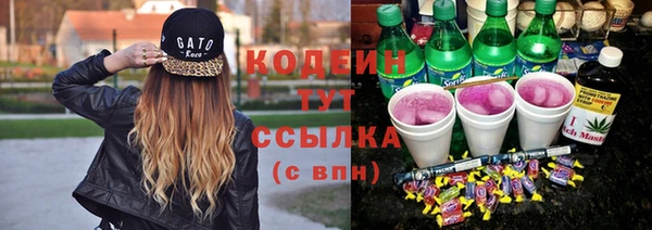 2c-b Бородино