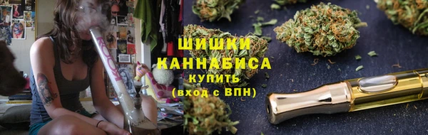 2c-b Бородино