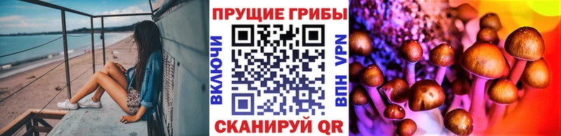 Псилоцибиновые грибы мицелий  купить наркотик  Томилино 