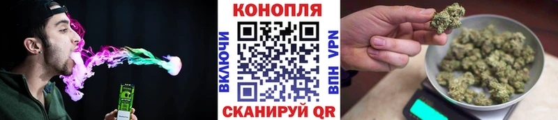 Конопля VHQ  Томилино 